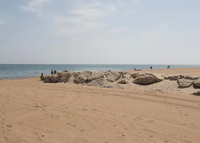 Don Pedro By Aguilarent 德尼亚